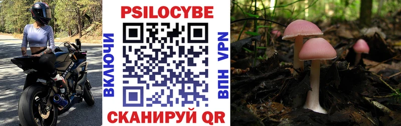 Псилоцибиновые грибы Psilocybine cubensis  blacksprut маркетплейс  Черногорск 