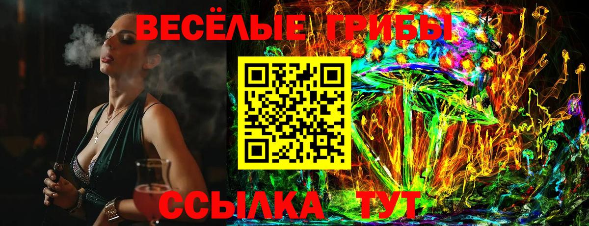 Галлюциногенные грибы MAGIC MUSHROOMS  Галлюциногенные грибы Psilocybe  Черногорск  Вход с VPN 
