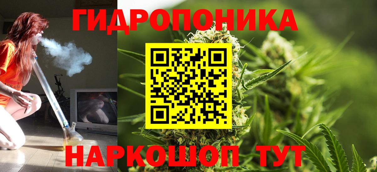 Черногорск  Шишки марихуана гибрид  Вход с VPN  Бошки марихуана ГИДРОПОН 