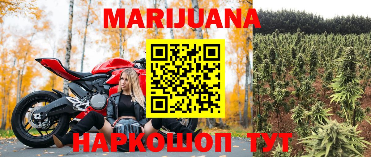 Конопля White Widow Черногорск
